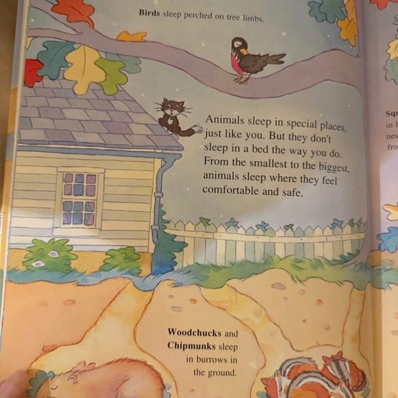 Amazing! Vintage Children's hardback Book Set! 17 books - Picture 4 of 4